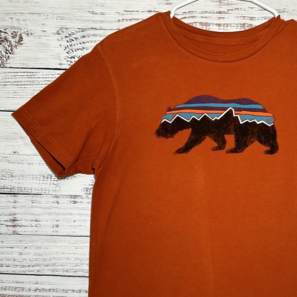 Patagonia Fitz Roy Bear Organic T-Shirt Small Slim Fit - Picture 6 of 16